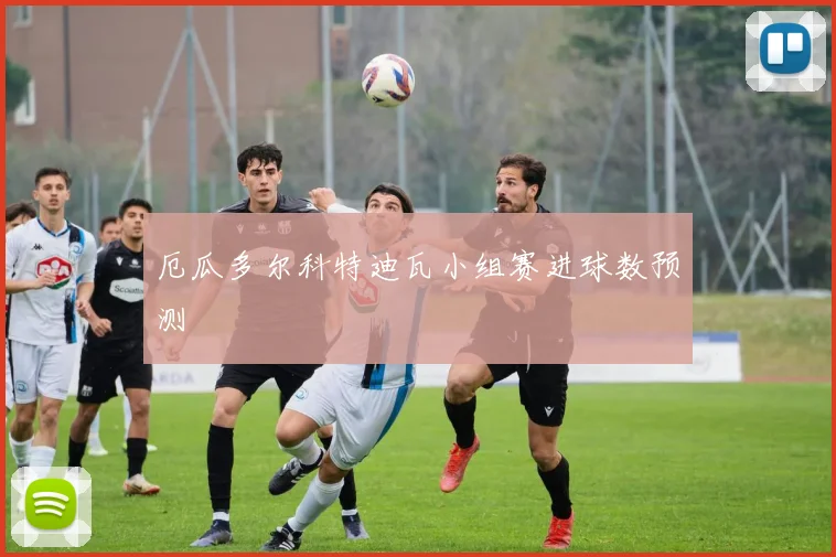 厄瓜多尔科特迪瓦小组赛进球数预测